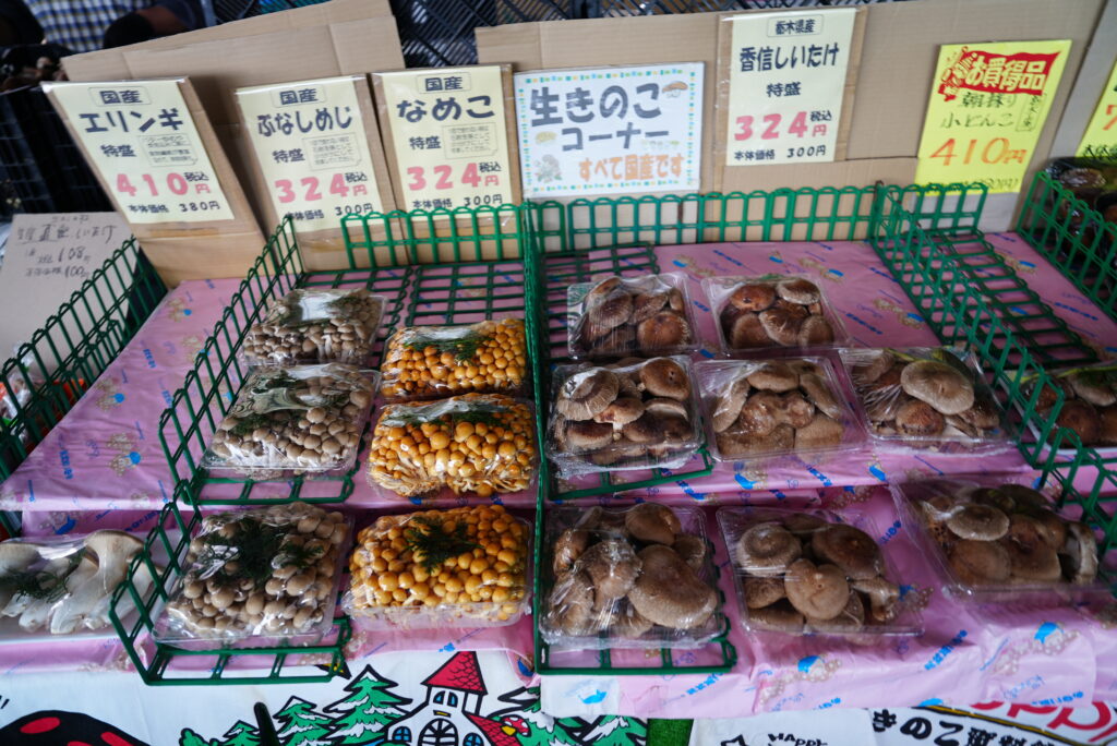 きのこの杜3