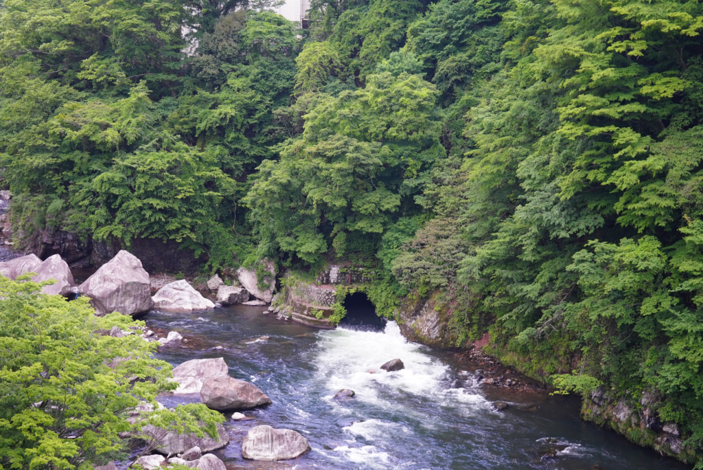 鬼怒川ーふれあい橋からの眺め2